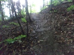 Mud trails